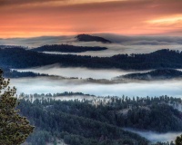 view from Terry Peak.jpg